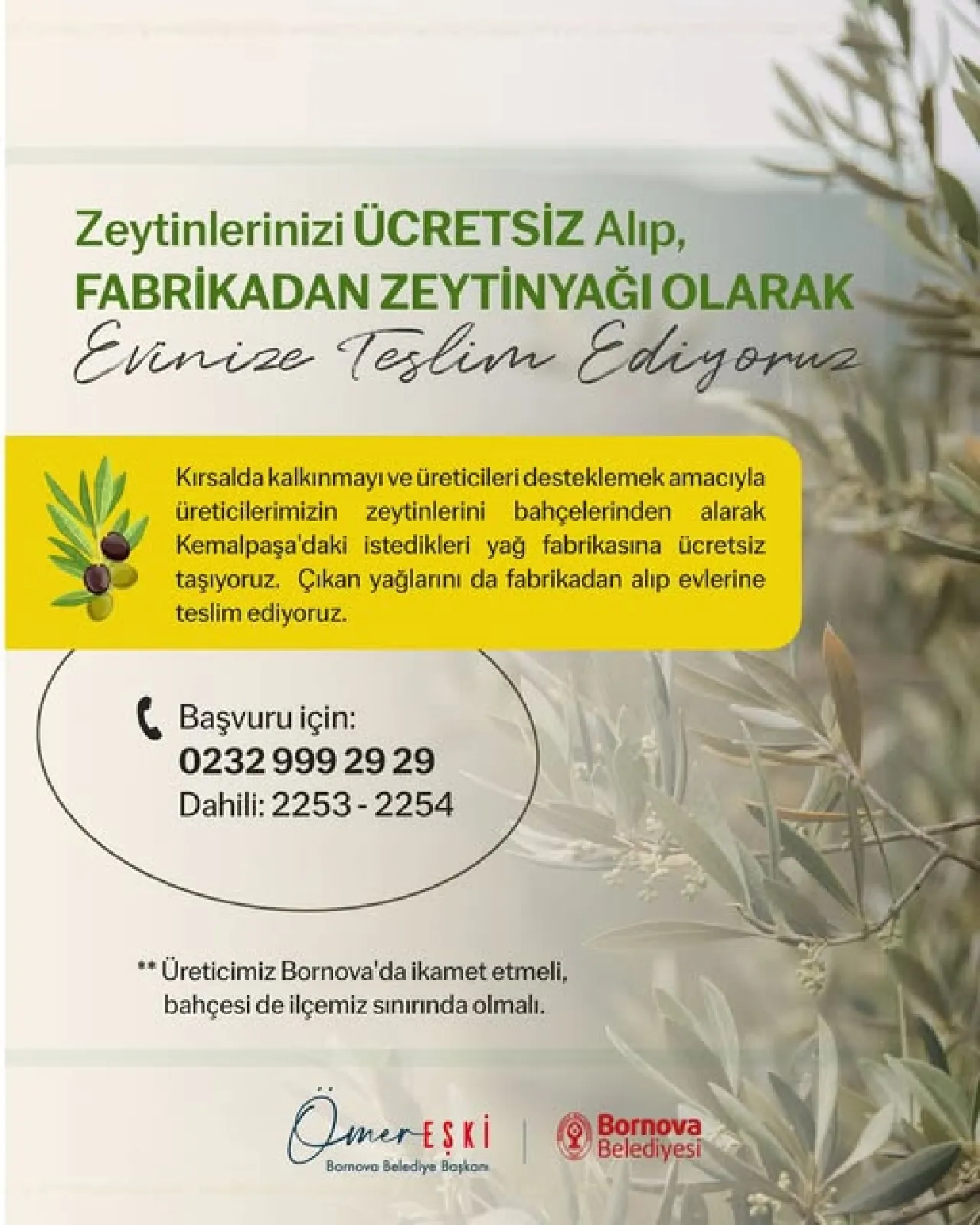 Bornova Belediyesi Üreticilere Zeytinyağı Üretiminde Ücretsiz Nakliye Desteği Sağlıyor