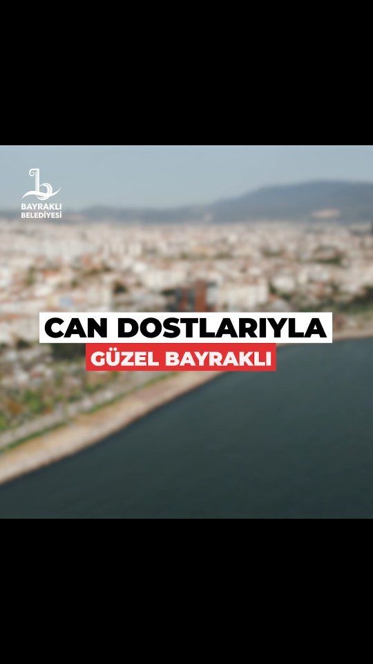 İzmir Bayraklı Belediyesi'nden Sokak Hayvanlarına Yaz Desteği Kampanyası