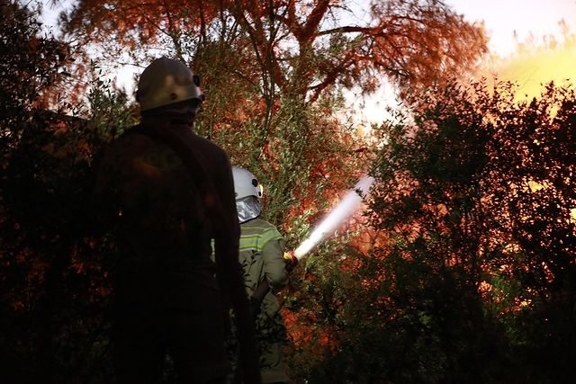 İzmir Ve Aydın'da Devam Eden Yangınlar