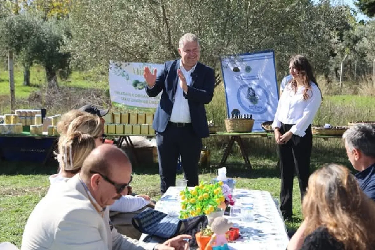 Urla'da Genç Üreticilerin Zeytin Hasadı Coşkusu